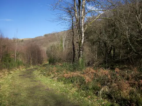 Photo of Teign Valley Woods, a Site of Special Scientific Interest near Dunsford in Dartmoor, Devon, south west England.