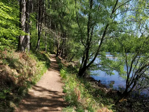 Photo of Loch Faskally, a reservoir near Pitlochry, Perth and Kinross, central Scotland.