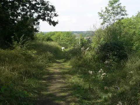Photo of Roughdown Common, a Site of Special Scientific Interest near Potten End, Hertfordshire, eastern England.