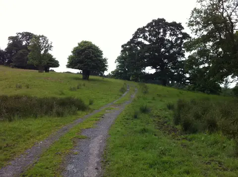 Photo of Dunsland Park, a Site of Special Scientific Interest in Devon, south west England.