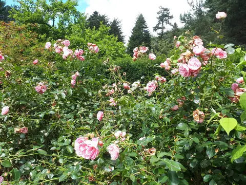 Photo of Parcevall Hall Gardens, a garden near Appletreewick in the Yorkshire Dales, North Yorkshire, northern England.