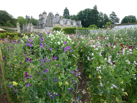 Photo of Easton Walled Gardens, a garden in Lincolnshire, central England.