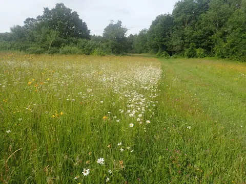 Photo: Holly Hill, a 172m hill near West Malling, Kent, south east England.