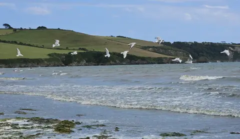 Photo of Par Sands, a swimming spot near Fowey, Cornwall, south west England.