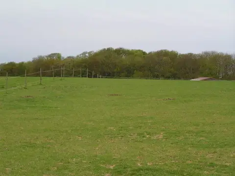 Photo of Telham Fields, Crowhurst, a country estate near Battle in the High Weald, East Sussex, south east England.