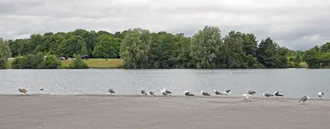 Photo of Cosmeston Lakes Country Park, a country park near Penarth, the Vale of Glamorgan, south east Wales.