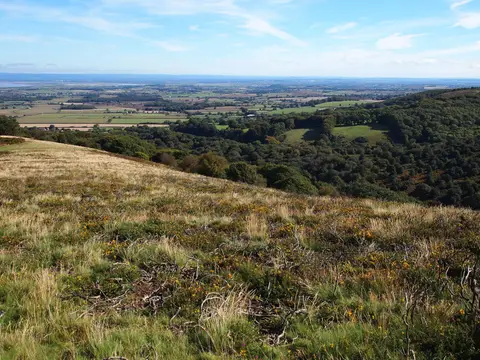 Photo of Holford, a country estate near Bicknoller in the Quantock Hills, Somerset, south west England.