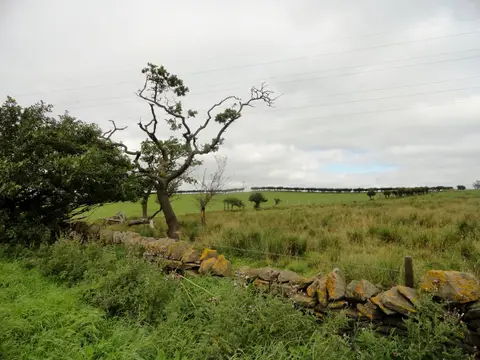 Photo: Currock Hill East Top, a 259m hill near Wylam, Tyne and Wear, north east England.