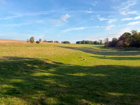 Photo of Hackwood Park, a Grade I registered house & garden near Basingstoke, Hampshire, south east England.