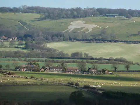 Photo of Whipsnade White Lion, a hill figure near Ivinghoe in the Chilterns, Bedfordshire, eastern England.