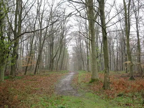 Photo: Ashley Hill, a 145m hill near Hurley, Berkshire, south east England.