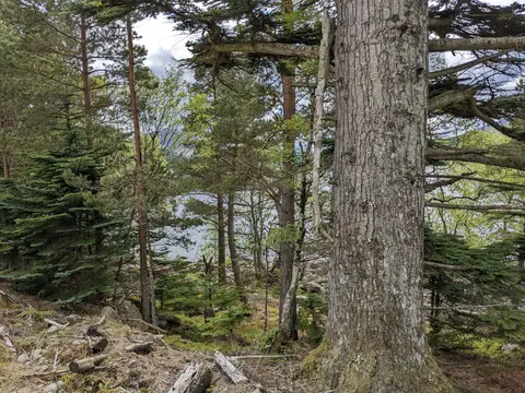 Photo of Loch Laggan, a loch near Tulloch, Highland, the Scottish Highlands and Islands.