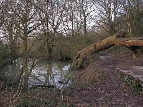 Photo of Langdon Hills Country Park, a country park near Laindon, Essex, eastern England.