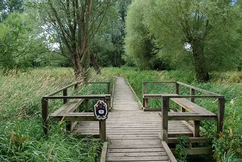 Photo of Warnham LNR, a nature reserve near Ockley, West Sussex, south east England.