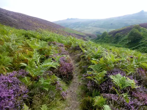 Photo: Harthope Valley, a viewpoint near Wooler, Northumberland, north east England.