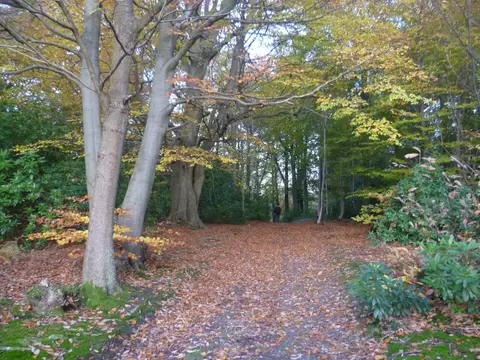 Photo: Perry Wood, a viewpoint near Chilham, Kent, south east England.