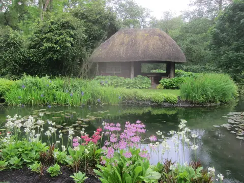 Photo of Longstock Park Water Garden, a garden in Hampshire, south east England.