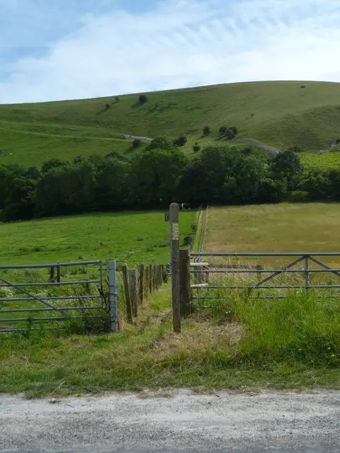 Photo of Beeding Hill to Newtimber Hill, a Site of Special Scientific Interest near Fulking, West Sussex, south east England.