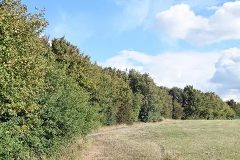Photo of Wick Country Park, a country park near Leigh-on-Sea, Essex, eastern England.