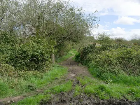 Photo of Tehidy Country Park, a country park near St Agnes, Cornwall, south west England.