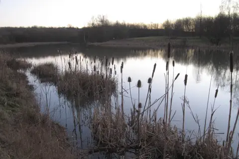 Photo of Saltersford Wood Country Park, a country park near Ashby-de-la-Zouch, Leicestershire, central England.