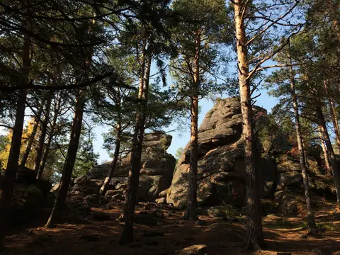 Photo of Plumpton Rocks, a Grade II* registered house & garden near Spofforth, North Yorkshire, northern England.