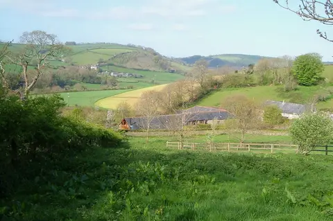 Photo of Crownley Wood, a nature reserve near Dittisham, Devon, south west England.