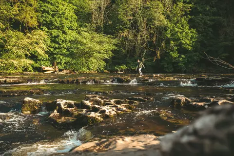 Photo of Aysgarth Falls, a waterfall in the Yorkshire Dales, North Yorkshire, northern England.