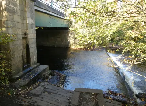 Photo of Allensford Country Park, a country park near Edmundbyers, County Durham, north east England.