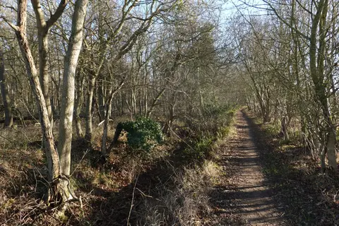 Photo along the Stour Valley Path, a 60-mile long-distance path running from Newmarket to Cattawade, eastern England.