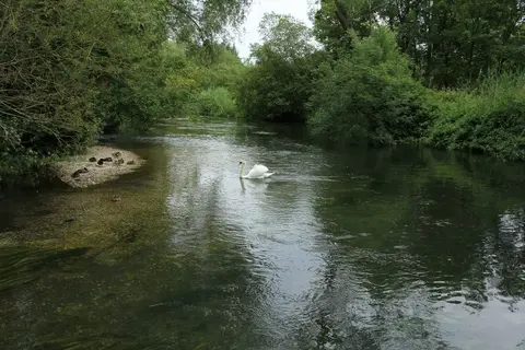 Photo of the River Itchen, a 28-mile river running from Hinton Ampner to Southampton Water, south east England.