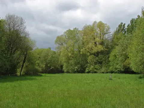 Photo of Lakeside Nature Reserve Country Park, a country park near Puttenham, Surrey, south east England.