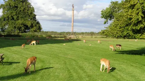 Photo of Whitworth Hall Country Park, a country park near Brancepeth, County Durham, north east England.