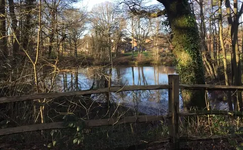 Photo of Worth Way Country Park, a country park near Turners Hill, West Sussex, south east England.