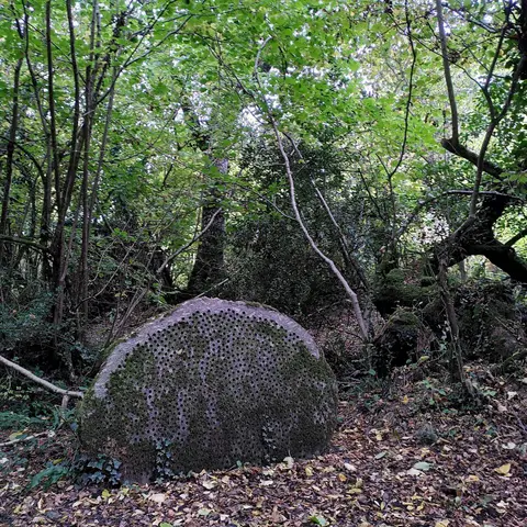 Photo along the Two Moors Way, a 102-mile long-distance path running from Ivybridge to Lynmouth, south west England.