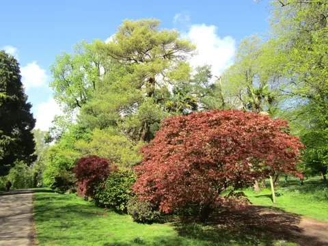 Photo of Bute Park, a garden in Cardiff, south east Wales.