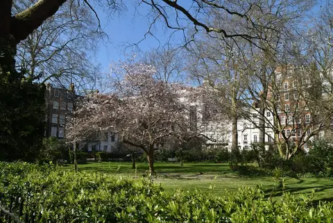 Photo of 33 Kensington Square, a house & garden in London, England.