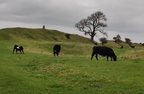 Photo of Burrough Hill Country Park, a country park near Burrough on the Hill, Leicestershire, central England.
