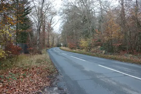 Photo of Bradenham Woods, Park Wood & The Coppice, a Site of Special Scientific Interest in Buckinghamshire, south east England.