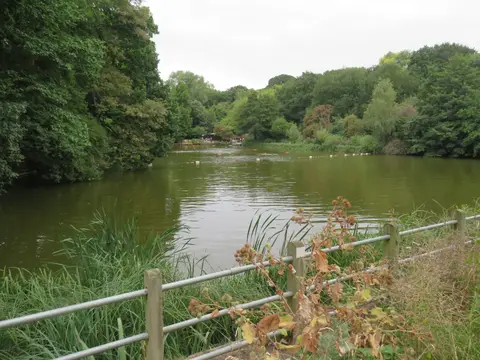 Photo of Hampstead Heath (Mixed Pond), a swimming spot in London, England.