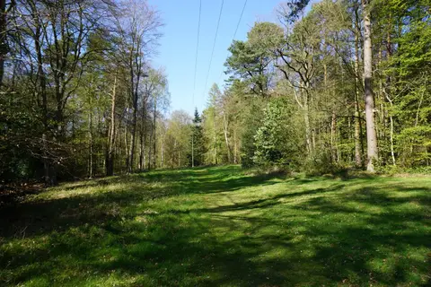 Photo of Brandon Country Park, a country park in Suffolk, eastern England.