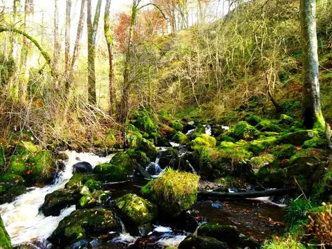 Photo: Campsie Glen, a viewpoint near Lennoxtown, East Dunbartonshire, central Scotland.