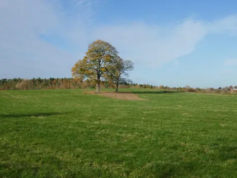 Photo of Shipley Country Park, a country park near Eastwood, Derbyshire, central England.