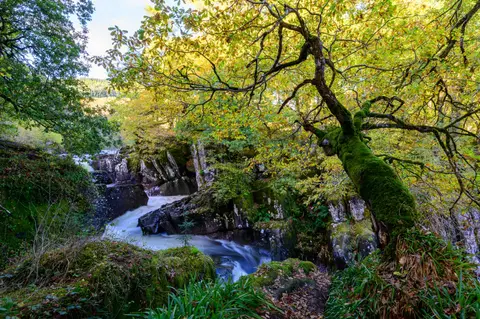 Photo of Golitha Falls, a National Nature Reserve near St Neot, Cornwall, south west England.