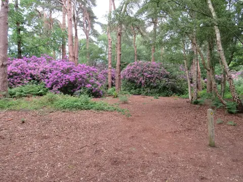 Photo of Abinger Roughs, a country estate near Abinger Hammer, Surrey, south east England.