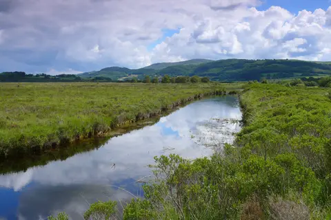 Photo of Cors Fochno (Borth Bog), a nature reserve in Ceredigion, mid Wales.