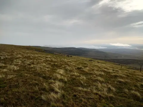 Photo: Mickle Fell, a 790m hill near Holwick in the North Pennines, County Durham, north east England.