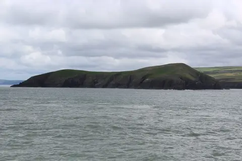 Photo of Cardigan Island, an island in Ceredigion, mid Wales.