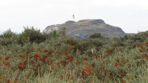 Photo of Fidra Lighthouse, a lighthouse near Dirleton, East Lothian, central Scotland.