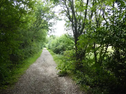 Photo of Hainault Forest Country Park, a country park near Chadwell Heath, London, England.
